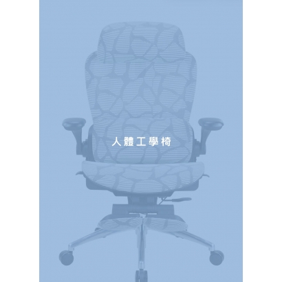 人體工學椅.jpg