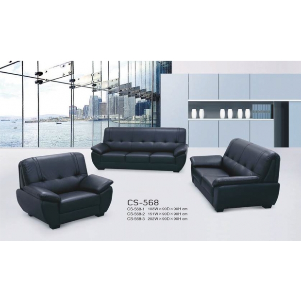 CS-568