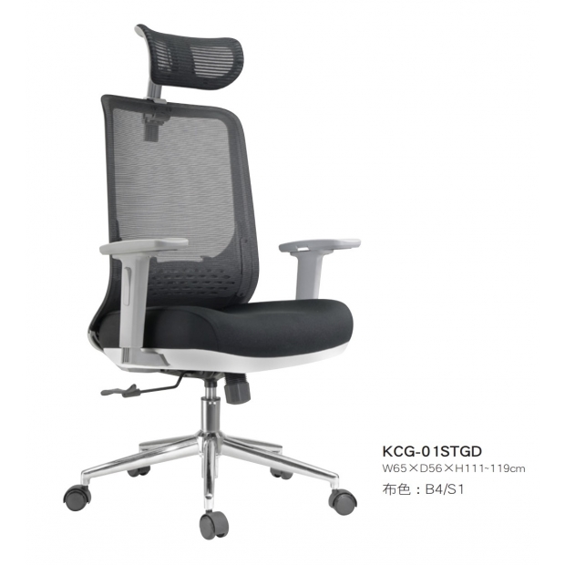 KCG-01 STGD