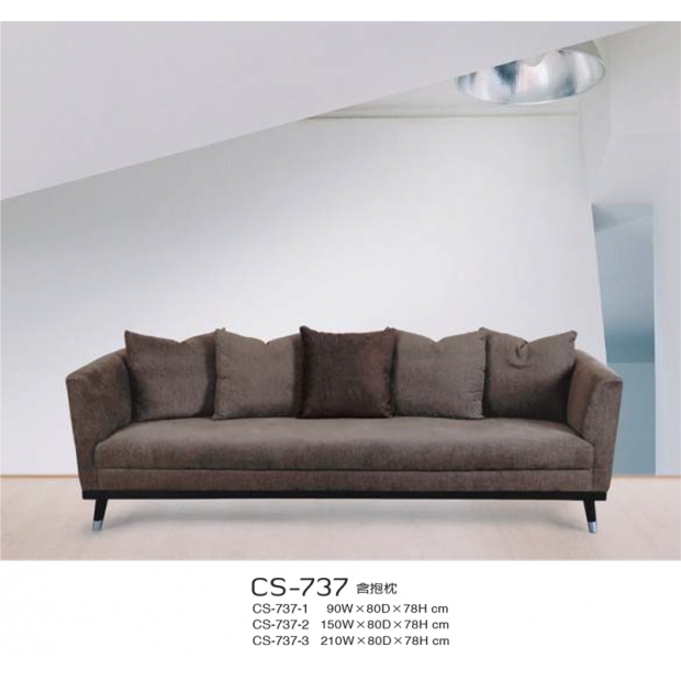 CS-737