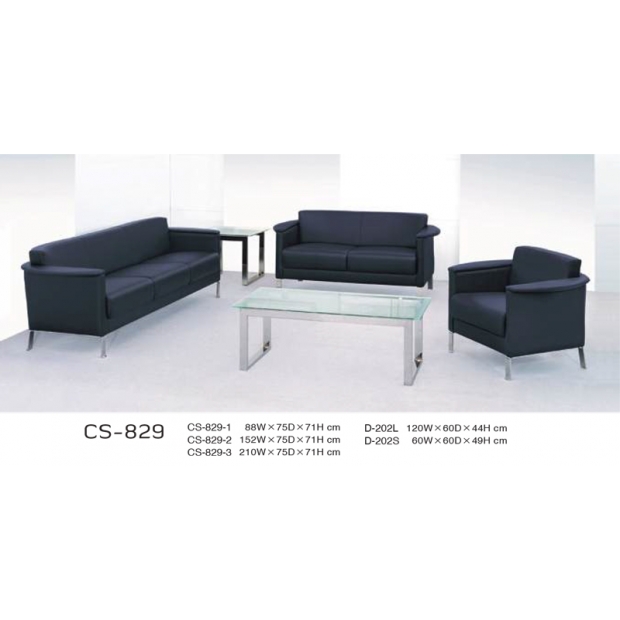CS-829
