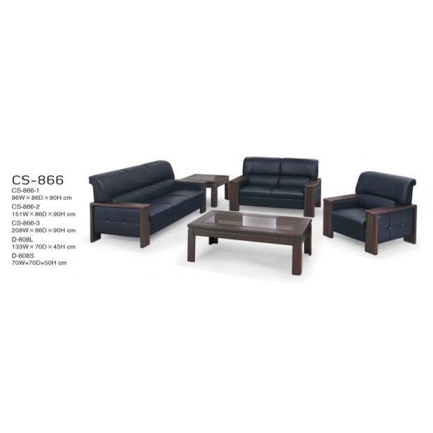 CS-866