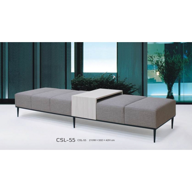 CSL-55