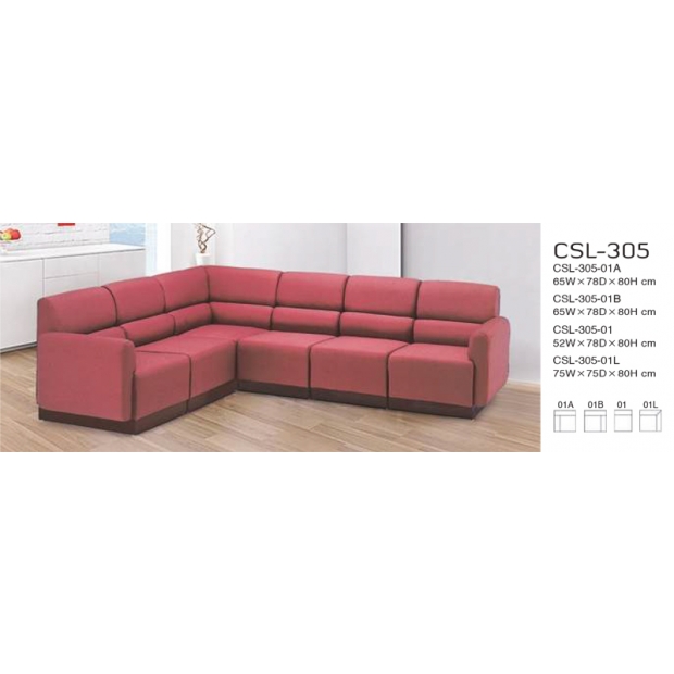 CSL-305