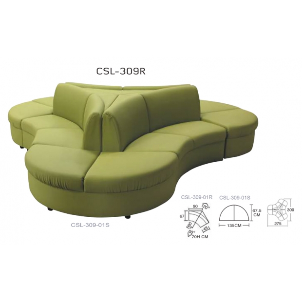 CSL-309R
