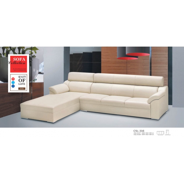 CSL-316