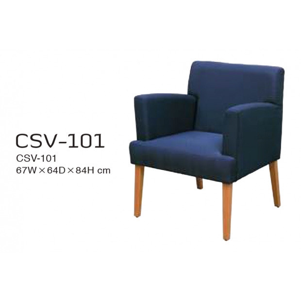 CSV-101