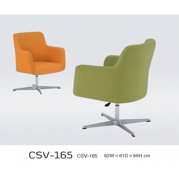 CSV-165
