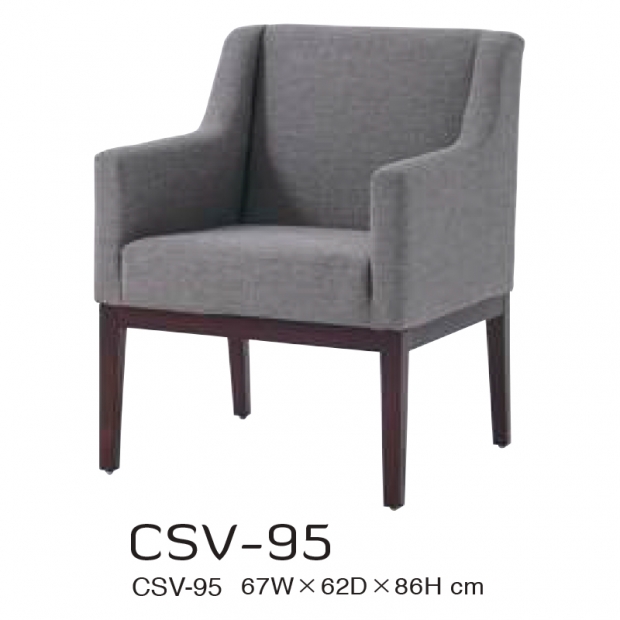 CSV-95