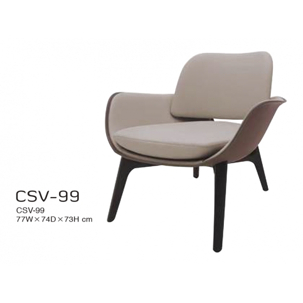 CSV-99