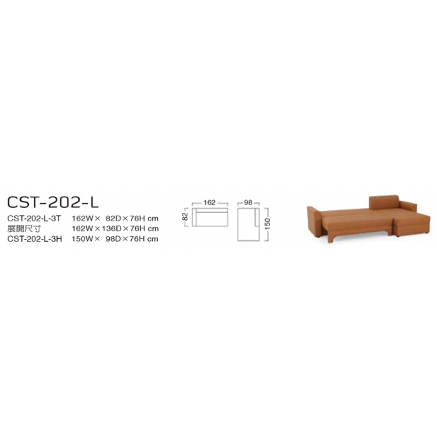 CST-202-L-1.jpg