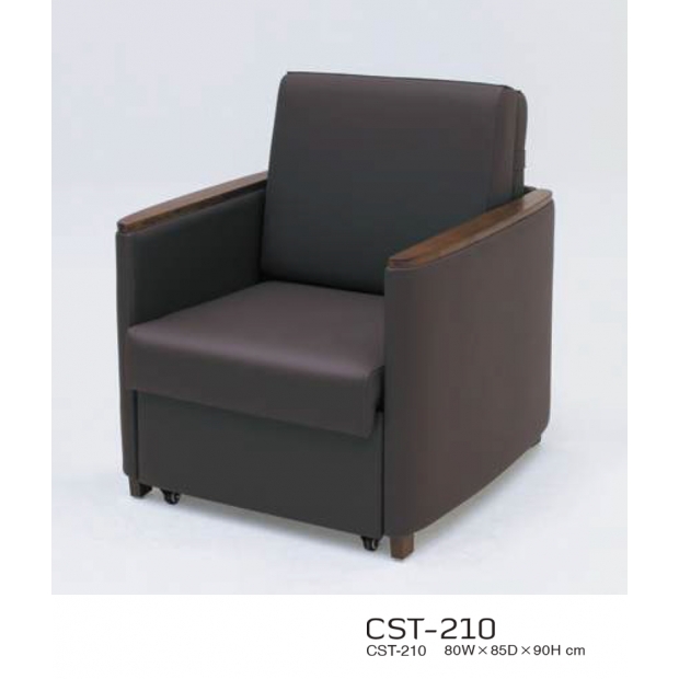 CST-210