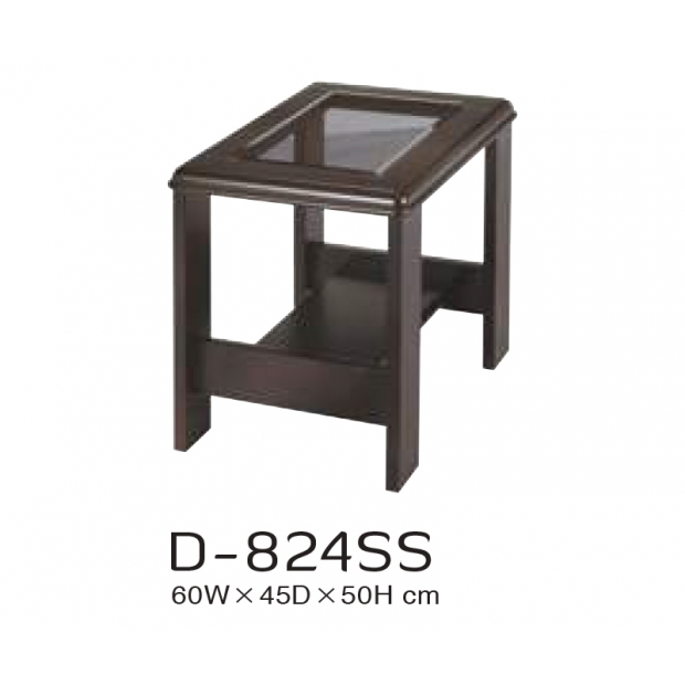 D-824SS