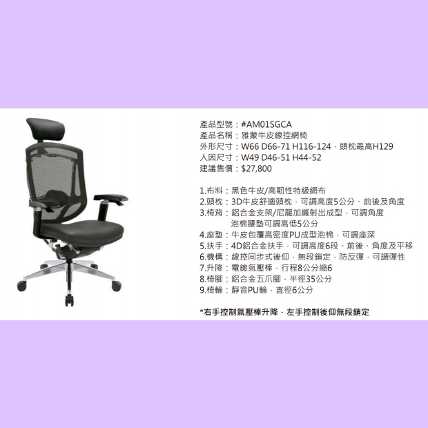 AM01SGCA 雅蒙牛皮線控網椅.jpg