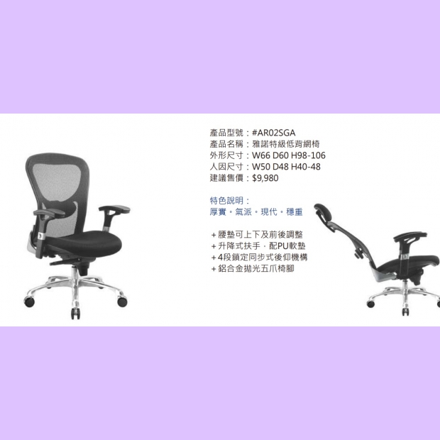 AR02SGA 雅諾特級低背網椅.jpg