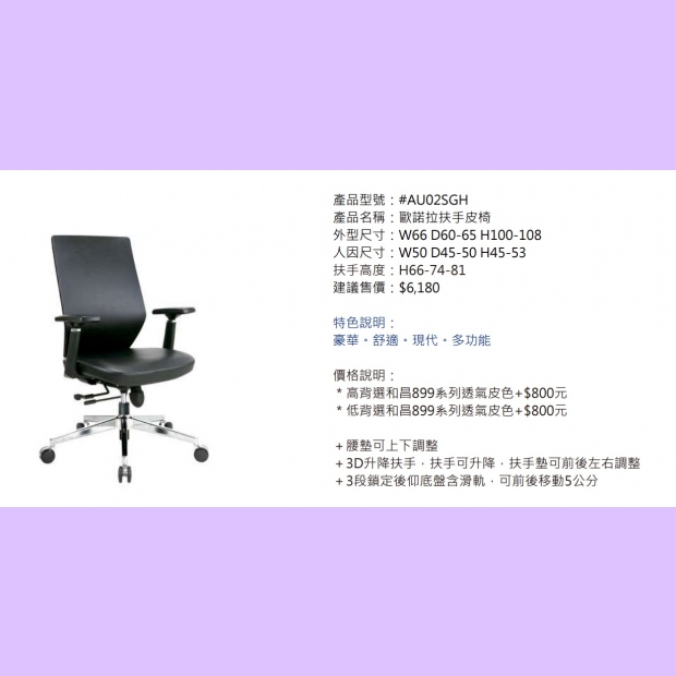 AU02SGH 歐諾拉扶手皮椅.jpg