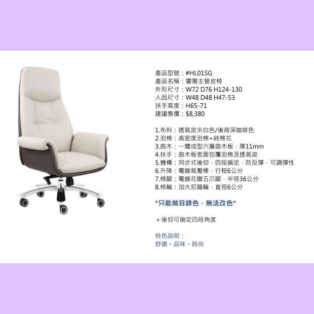 HL01SG 霍爾主管皮椅2.jpg