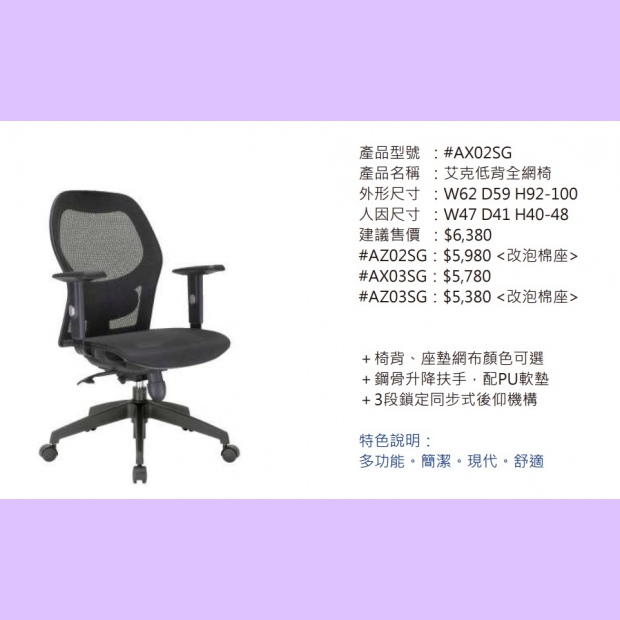 AX02SG 艾克低背全網椅