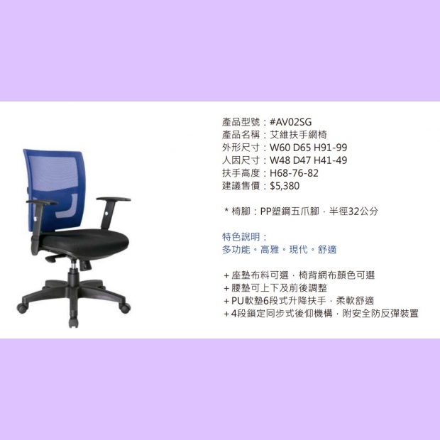 AV02SG 艾維扶手網椅.jpg