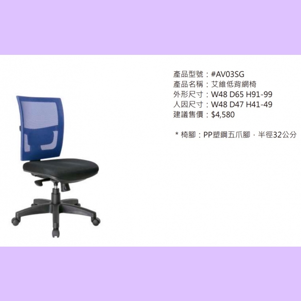 AV03SG 艾維低背網椅2.jpg