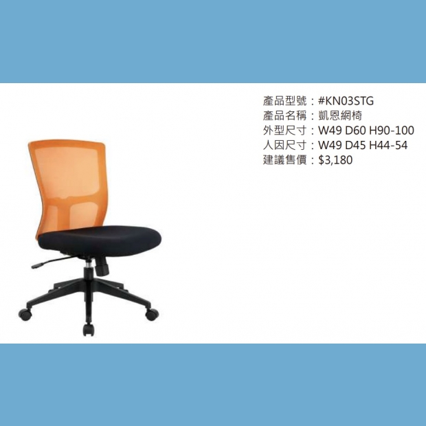 KN03STG 凱恩網椅2.jpg