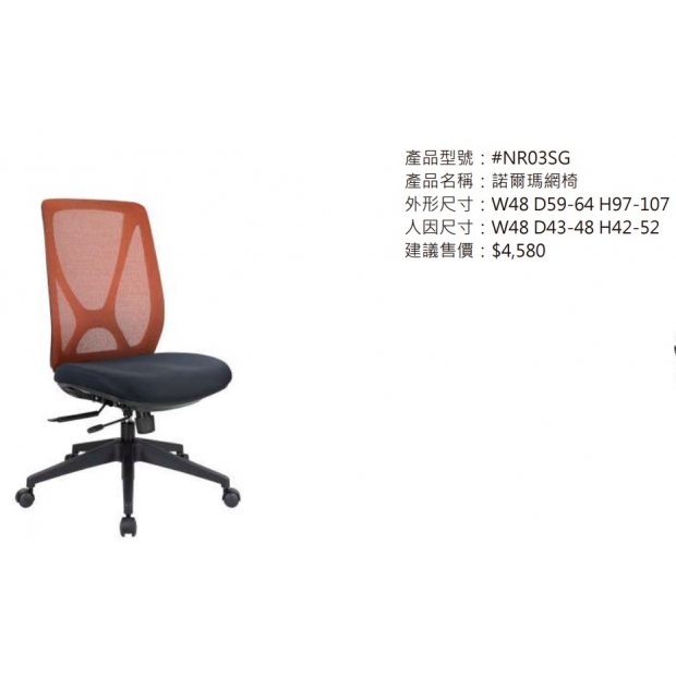 NR03SG 諾爾瑪網椅2.jpg