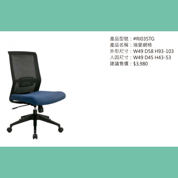 RI03STG 瑞愛網椅.jpg