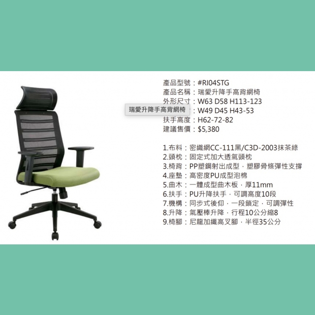 RI04STG 瑞愛升降手高背網椅.jpg