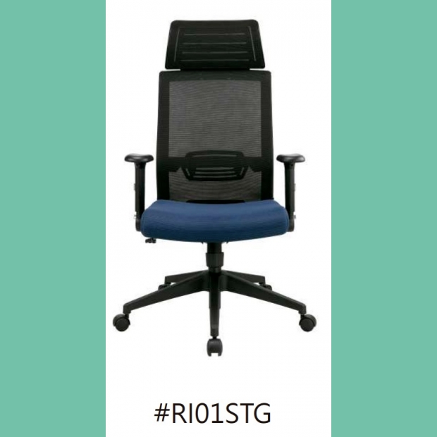 RI01STG.jpg