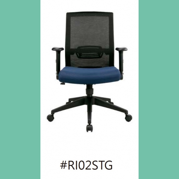 RI02STG.jpg