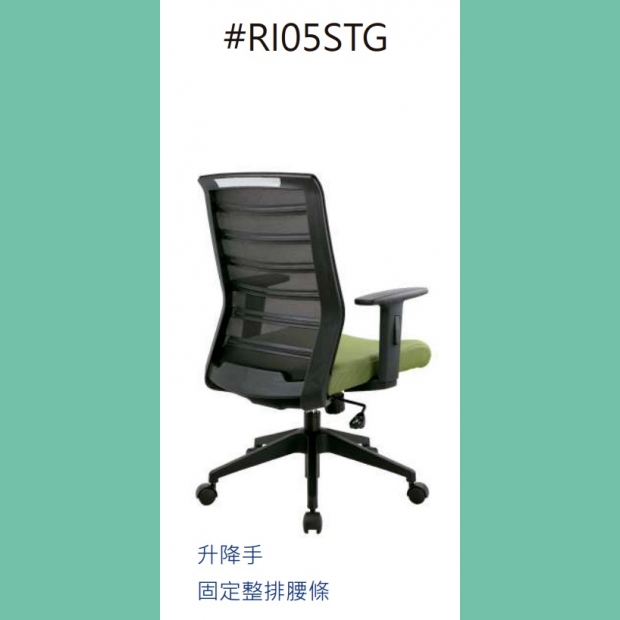 _RI05STG.jpg