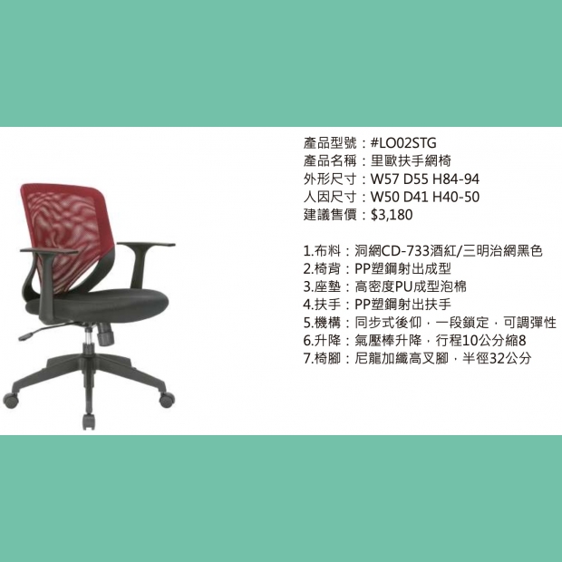 LO02STG 里歐扶手網椅.jpg