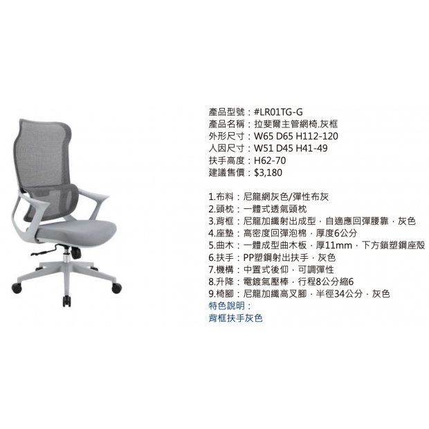 LR01TG-G 拉斐爾主管網椅.灰框2.jpg