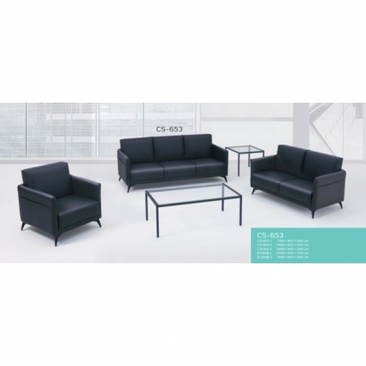 CS-653 CS-653