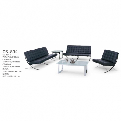 CS-834