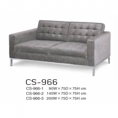 CS-966 CS-966