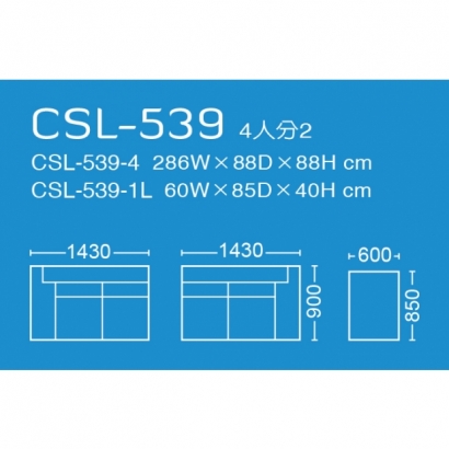 CSL-539