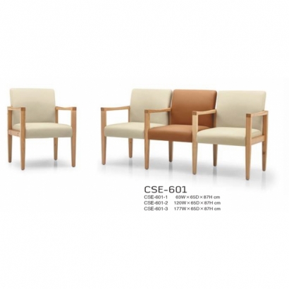 CSE-601