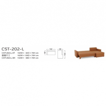 CST-202-L-1.jpg