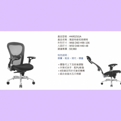 AR02SGA 雅諾特級低背網椅.jpg