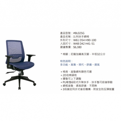 BL02SG 比利扶手網椅.jpg