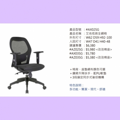 AX02SG 艾克低背全網椅 AX02SG 艾克低背全網椅