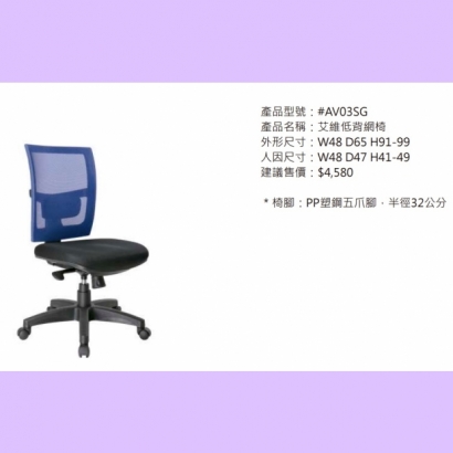 AV03SG 艾維低背網椅2.jpg