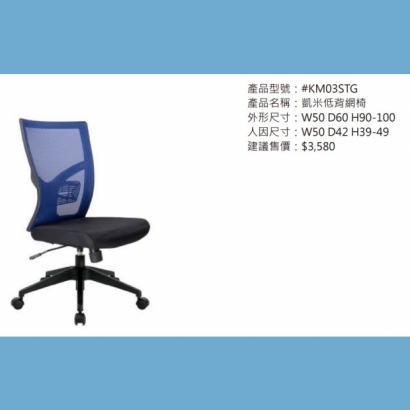 KM03STG 凱米低背網椅.jpg