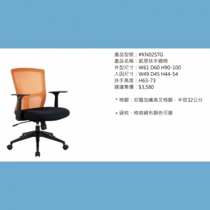 KN02STG 凱恩扶手網椅2.jpg