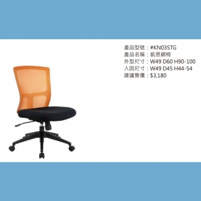 KN03STG 凱恩網椅2.jpg