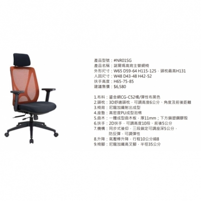 NR01SG 諾爾瑪高背主管網椅2.jpg