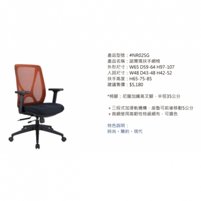 NR02SG 諾爾瑪扶手網椅2.jpg