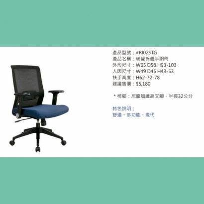 RI02STG 瑞愛折疊手網椅.jpg