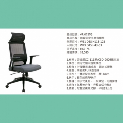 RI07STG 瑞愛固定手高背網椅.jpg RI07STG 瑞愛固定手高背網椅.jpg